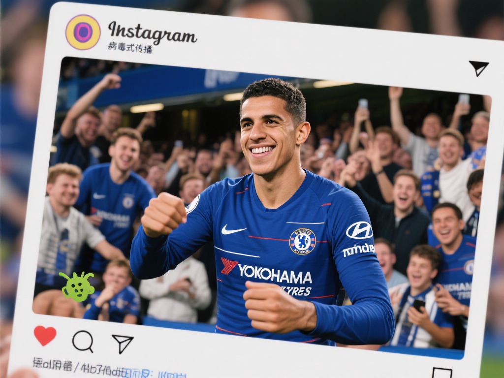 全性与合法 全性与合法